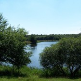 Gaasterland Natuurgebied De Wyldemerk 4