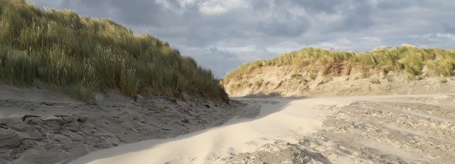 Duinen Ameland vk.jpg